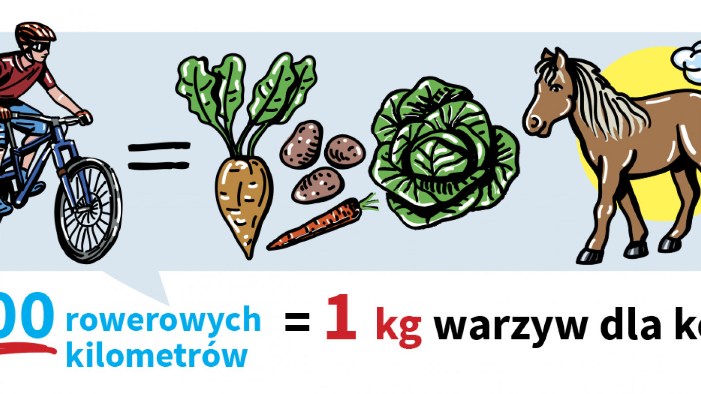 Warzywa dla zwierząt